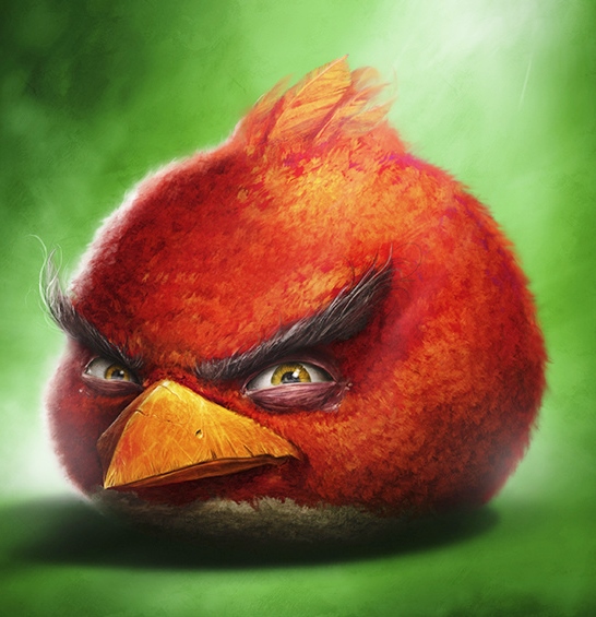 not happy bird